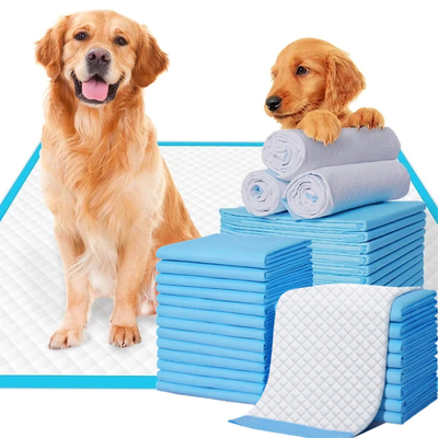 Pet Underpad