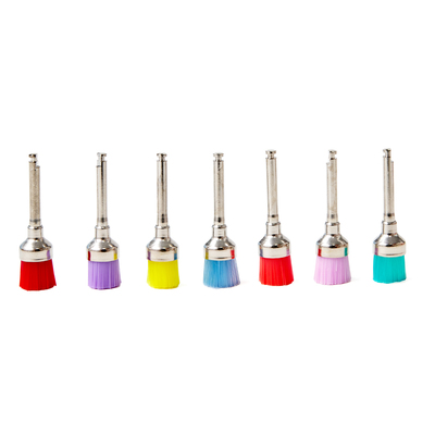 Flat prophy brush 